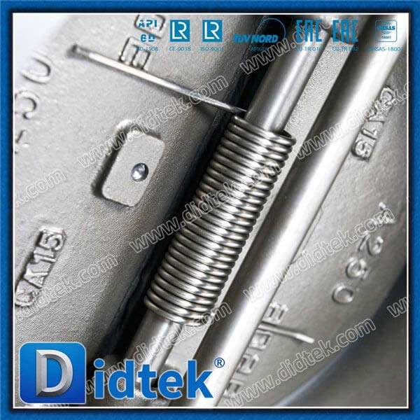 A182 F316 Asientos Tipo de oblea Válvula de retención de disco