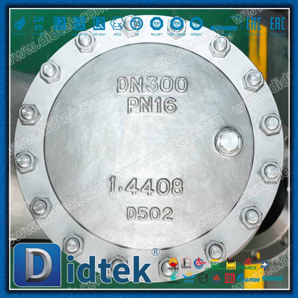 Filtro DIN EN 1.4408 Y con malla 80
